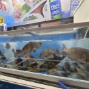 남포물회 | 부산송도횟집 남포횟집 코스요리 먹고 온 부산여행 후기