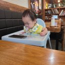 가평순두부 | 가평설악맛집 이화수 전통육개장, 순두부랑 차돌육개장 먹어본 솔직 후기