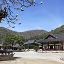 완주 오성한옥마을 관광안내소 | 전북 완주 여행 가이드 – 산과 한옥, 폭포까지