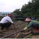 내조의왕 이미지