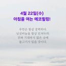 에코힐링