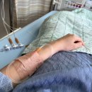 차홍농장 이미지