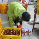 쌍곡 농장 이미지