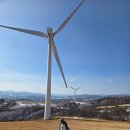 재난CCTV | 26.1.31(토) <선자령> 눈 없음 | 페플셔틀 후기 및 선자령 실시간 CCTV 링크