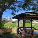 별빛황토펜션 이미지