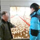 눌왕리농장 이미지