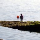 고성자연사박물관 이미지