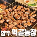 먹골농장 이미지