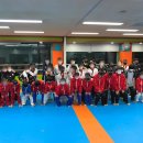 용인대 예당 태권도장 이미지