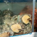 천사횟집 이미지