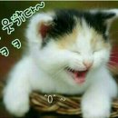 복 이미지