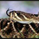 가죽소품 이미지