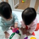 동식농장 이미지