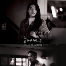 지아 티브이데일리