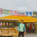 동강그린피스래프팅