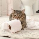 동문외과의원 이미지