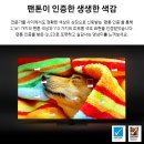 다솜애드 | 삼성 98인치 QLED TV KQ98QC88AFXKR 스펙 장점 후기 60% 할인 구입 방법