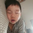 감람화원 이미지