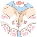 나 오늘 뒤진 <b>우디</b> 봄