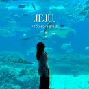 제주해양과학관 (아쿠아플라넷) | 제주 여행 놀러가기 좋은 아쿠아리움 관광지 제주 아쿠아플라넷 네이버 할인