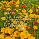 옹글다 이미지