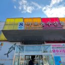 마포농수산물시장 풍어수산 추천 내돈내산 2번 후기(방어/연어/광어 맛집)