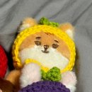 진성레이져 | [콘서트] 260321 DAY6 10th Anniversary Tour〈The DECADE〉 in Daejeon | 첫콘후기