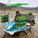 충주시농협쌀조합공동사업법인 이미지