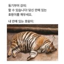 유월의정원