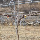 예밀농장 이미지