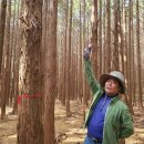 모다들엉여행사