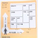 피노키오복싱 이미지