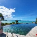 팜플루트 | 모리셔스 신혼여행 - 항공권 일정 숙소 추천 후기