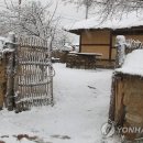 드니