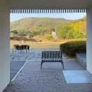 스테이 일목 | 서산 감성숙소 수화림 | 더포레스트(The Forest) 상세후기 | 스테이폴리오 추천숙소