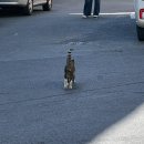 청운로-R 이미지