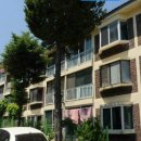 솔로몬공인중개사 이미지