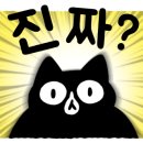 메타파크 이미지