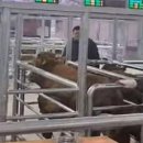 은경축산 이미지