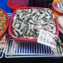 만냥수산 | 냥데기의 제멋대로 장소 리뷰 #14(김포 대명항 수산시장)