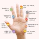 참편한요양병원 네이버블로그