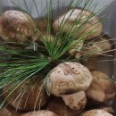 한국알앤디 이미지