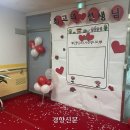 푸드카펫 이미지