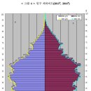 2015년과 2016년 한국의 인구피라미드 이미지