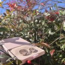 (주)지금 이미지