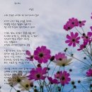 [이종곤] 코스모스 이미지