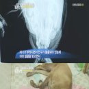 수배농장 이미지