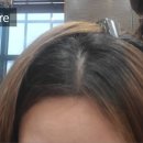 몽스헤어 네이버블로그