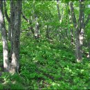 서림보건진료소 이미지