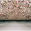 드림꽃사슴 이미지